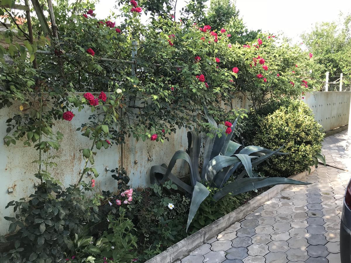 Bajo Guest House クタイシ エクステリア 写真
